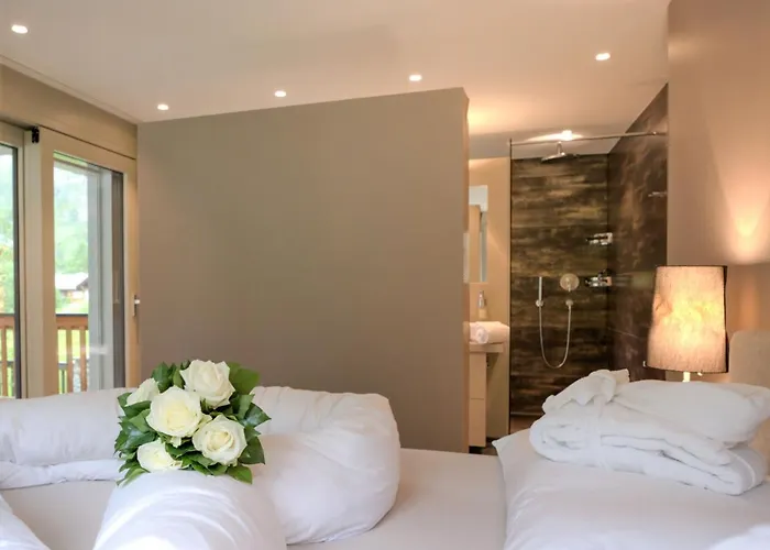 Dione By Interhome * زيرمات